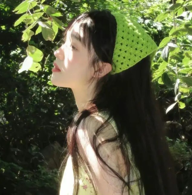 明月守护者